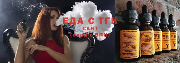 сатива Новозыбков