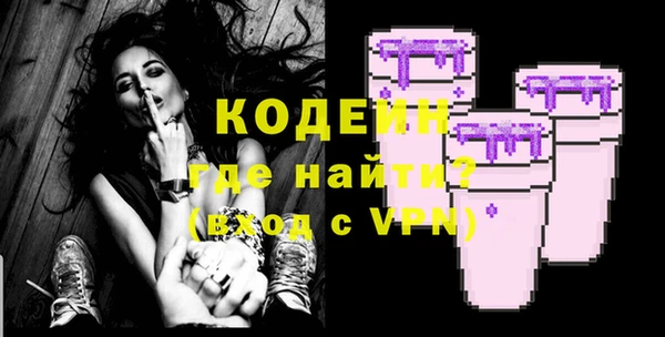 сатива Новозыбков