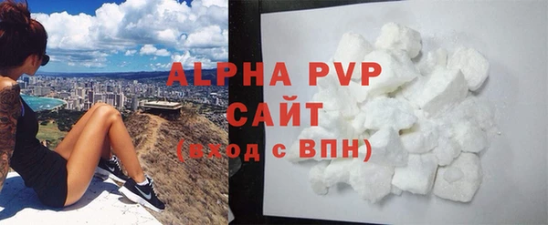 сатива Новозыбков