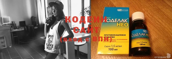 сатива Новозыбков
