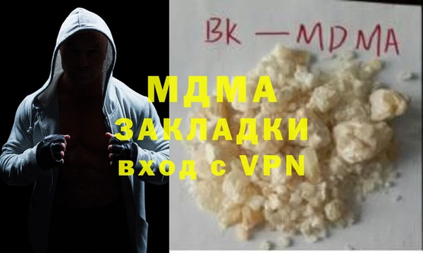 сатива Новозыбков
