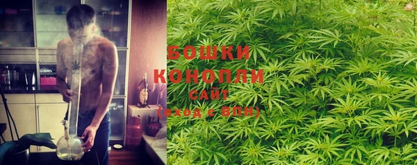 стафф Новокубанск