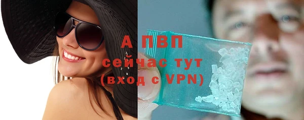 крисы Няндома