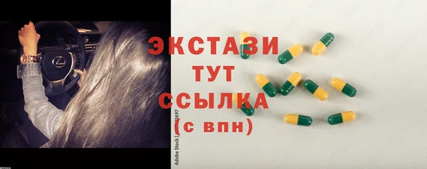 сатива Новозыбков