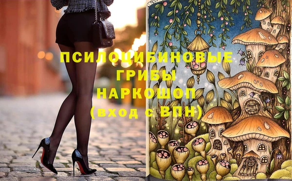 крисы Няндома