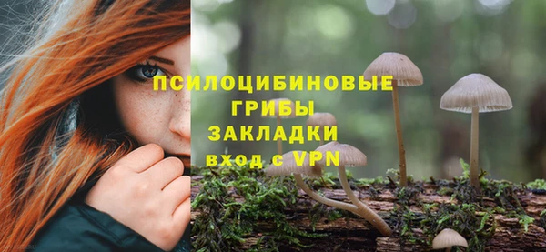 прущие крисы Новодвинск
