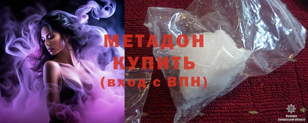 сатива Новозыбков