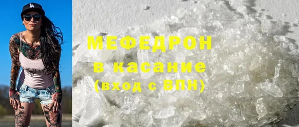 сатива Новозыбков