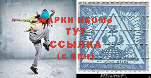 сатива Новозыбков