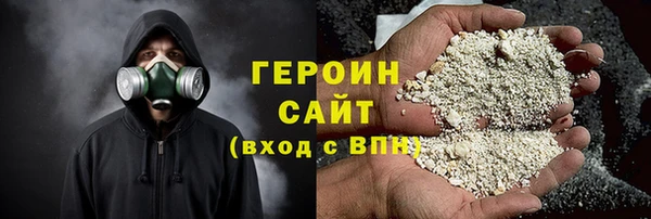 сатива Новозыбков