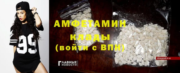 сатива Новозыбков