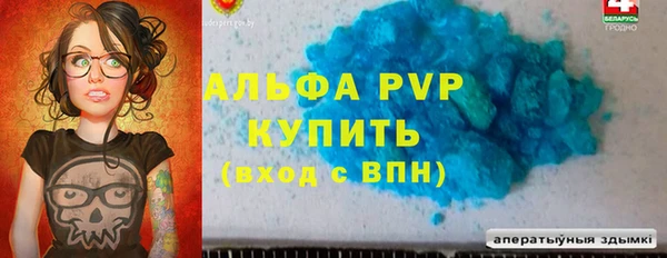 стафф Новокубанск