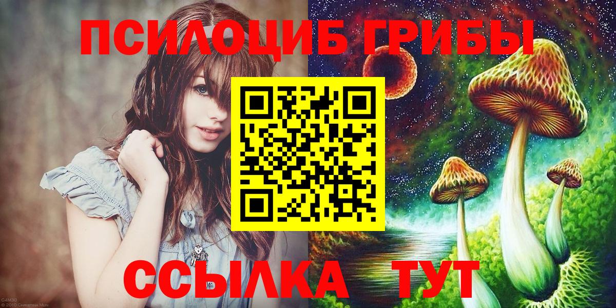 Псилоцибиновые грибы мицелий  Псилоцибиновые грибы Cubensis  Нефтекумск  Вход с VPN 