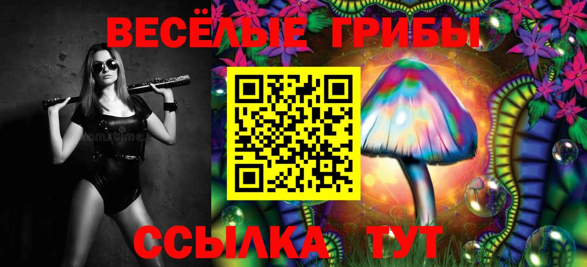 Галлюциногенные грибы GOLDEN TEACHER  Псилоцибиновые грибы Cubensis  Вход с VPN  Нефтекумск 