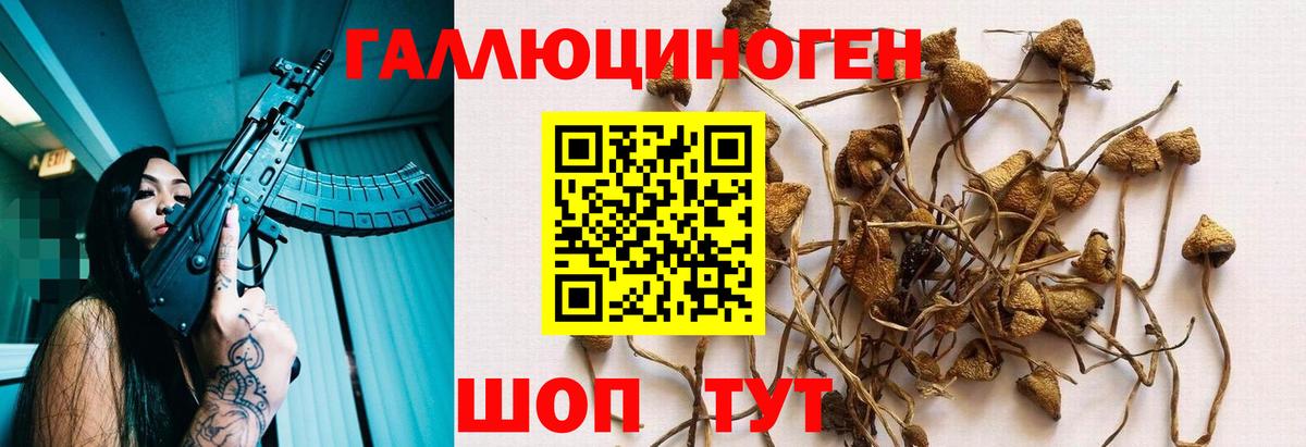 Галлюциногенные грибы прущие грибы Нефтекумск
